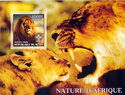 Nature of Africa Lions