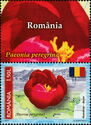 Romania - Byzantine Peony (Paeonia peregrina)