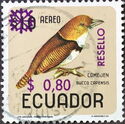 Collared Puffbird (Bucco capensis) - Overprinted