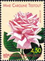 Rose 'Mme Caroline Testout