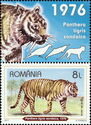 Javan Tiger (Panthera tigris sondaica)