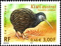 North Island Brown Kiwi (Apteryx australis mantelli)