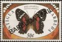 Scarlet Peacock (Anartia amathea) - Overprinted