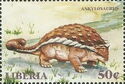Ankylosaurus