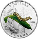 3 Dollars (Animal Architects - Caterpillar and Chrysalis)