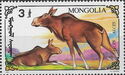 Two Female Moose (Alces alces)