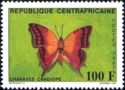 Green-veined Emperor (Charaxes candiope)