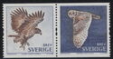 White-tailed Eagle/Short-eared Owl