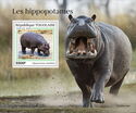 Hippopotamuses