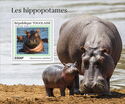 Hippopotamuses