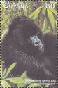 Mountain Gorilla (Gorilla gorilla beringei)