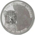 500 CFA Francs (Visual Layer Minting - The European Leopard)