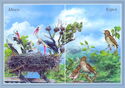 Minsk -Kursk birds Storks Nightingales