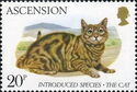 Domestic Cats (Felis silvestris catus)