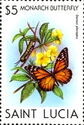 Monarch Butterfly (Danaus plexippus)
