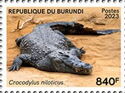 Nile crocodile (Crocodylus niloticus)