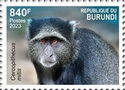 Blue Monkey (Cercopithecus mitis)