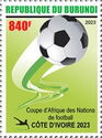 Africa Cup of Nations - Ivory Coast 2023