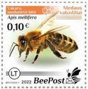 Western Honey bee (Apis mellifera)