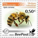 Eastern Honey Bee (Apis cerana)