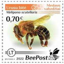 Stingless Bee, Urcu (Melipona scutellaris)