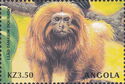 Golden Lion Tamarin (Leontopithecus rosalia)