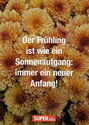 Der Frühling ist wie ein Sonnenaufgang