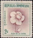 Mahogany Flower (Caoba)