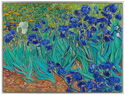 10,000 CFA Francs (Irises by Vincent Van Gogh)