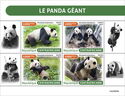 The Giant Panda