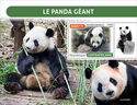 The Giant Panda