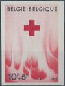 Belgian Red Cross