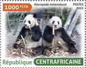 Giant panda (Ailuropoda melanoleuca)