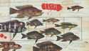 Fish of Africa