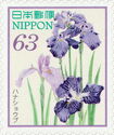 Japanese Irises