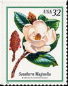 Southern Magnolia (Magnolia grandiflora)