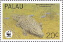 Estuarine Crocodile (Crocodylus porosus)