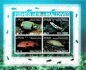 Fishes of the Maldives