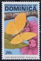 Large Orange Sulphur (Phoebis agarithe)