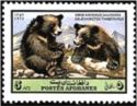Asiatic Black Bear (Ursus thibetanus)