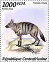 Aardwolf (Proteles cristata)