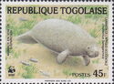 African Manatee (Trichechus senegalensis)