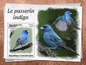 The Indigo Bunting