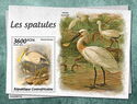 Spoonbills