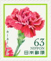 Carnation