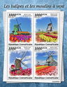 Tulips and Windmills