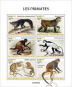 Primates