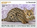 Savannah cat