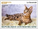 Savannah cat
