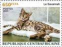 Savannah cat